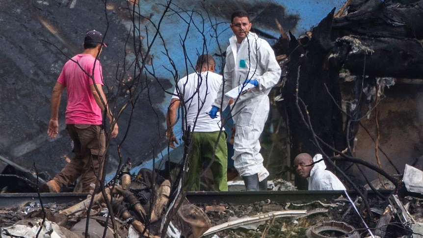 Four officials sift through the remains of the plane, near a burnt wing.