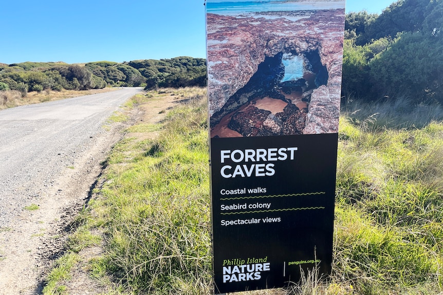 A sign beside a road says "Forrest Caves"