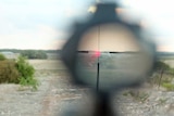 looking through a rifle
