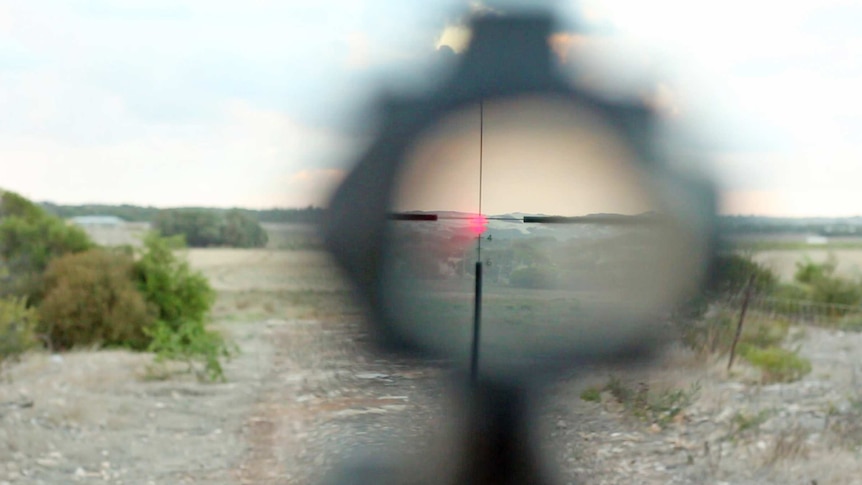 looking through a rifle