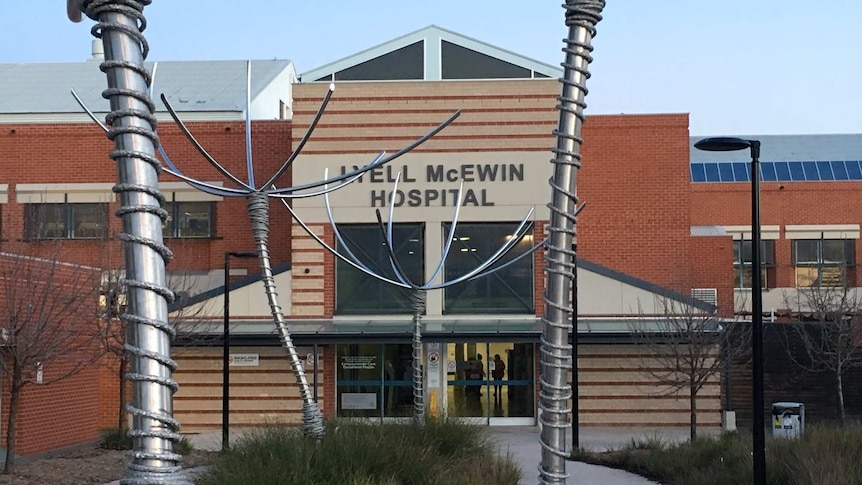 A hospital with barbed wire looking sculptures in front