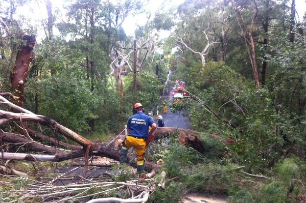 RFS volunteers assist with storm damage clean up at Hornsby