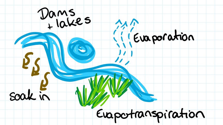 Hand drawn picture of a creek with water going into the soil and lakes, evaporating and evapotranspiration