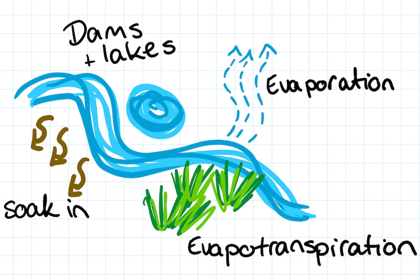 Hand drawn picture of a creek with water going into the soil and lakes, evaporating and evapotranspiration