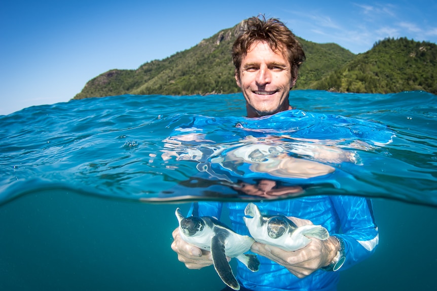 a man in a wetsuit releases turtle hatchlings into the ocean