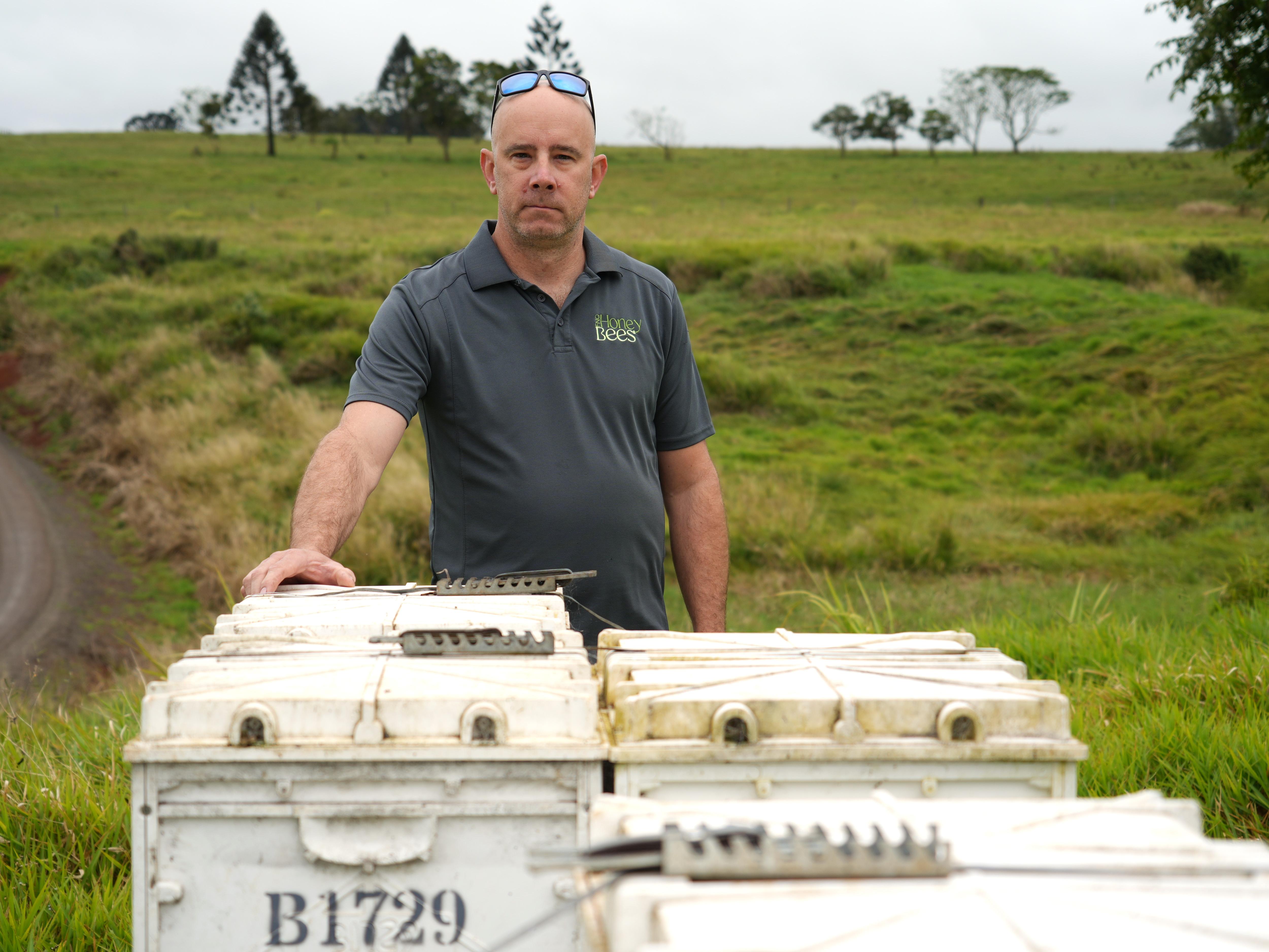 Beekeepers reeling after bees worth up to $20k stolen