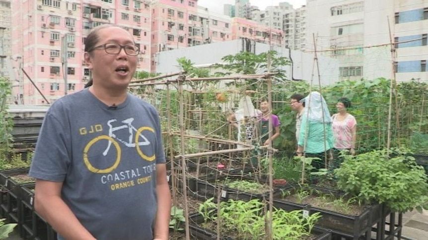 Hong Kong farmers take to the sky
