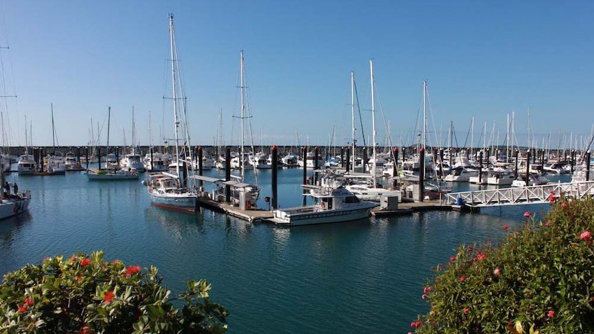 Mackay marina full of yachts