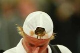 Lleyton Hewitt lost to Fernando Gonzalez in straight sets. (File photo)