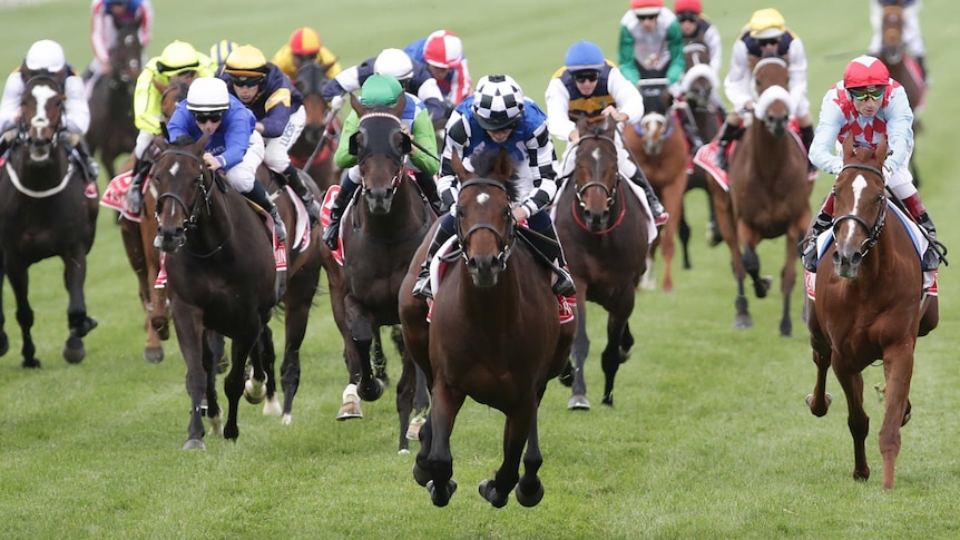 Protectionist pips Red Cadeaux to win Melbourne Cup