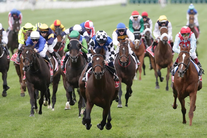 Ryan Moore and Protectionist (middle) race to victory in the 2014 Melbourne Cup.