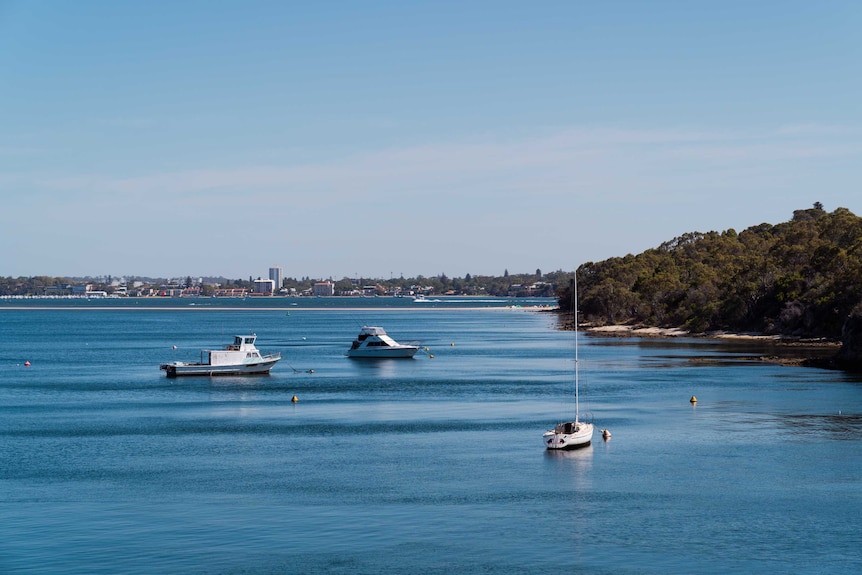 A wide shot of the Swan River at Point Walter Reserve.