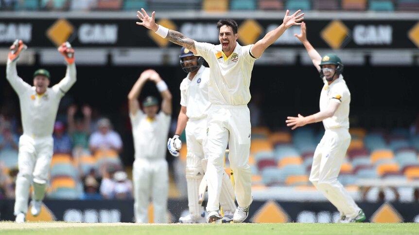 Mitchell Johnson celebrates the wicket of Rohit Sharma