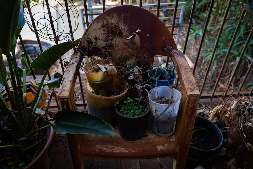 A cluster of potted plants sitting on an old, dirty plastic chair.