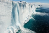 Waterfalls running off an ice wall into the ocean.