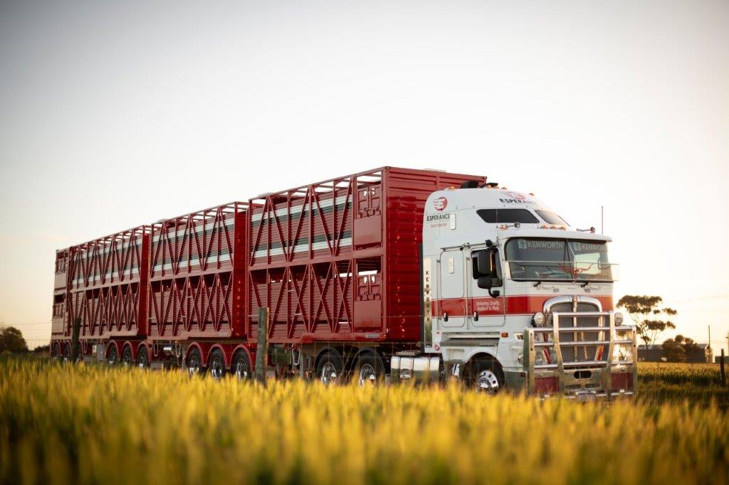 Livestock road train parked near the road.