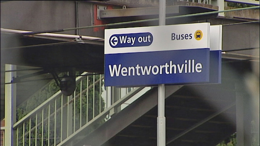 A man has died after being hit by a train at Wentworthville train station
