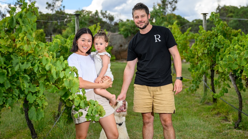 A man with a dog and a woman holding a baby stand in a lush, green vineyard.