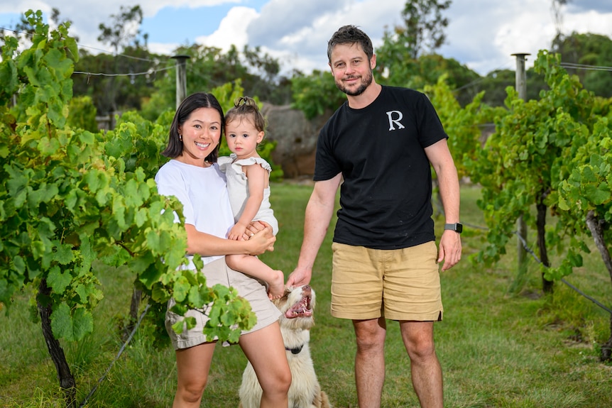 Three people and a dog standing in a green vineyard