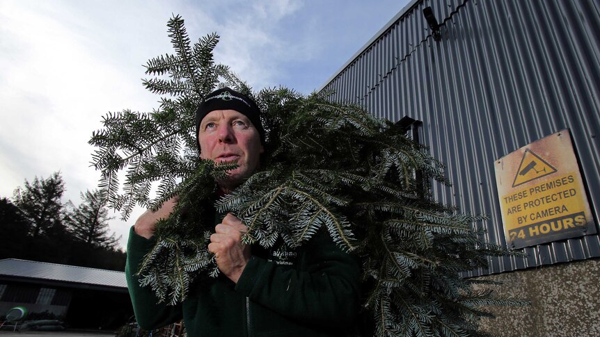 Christmas tree farmer Christy Kavanagh on his farm south of Dublin.