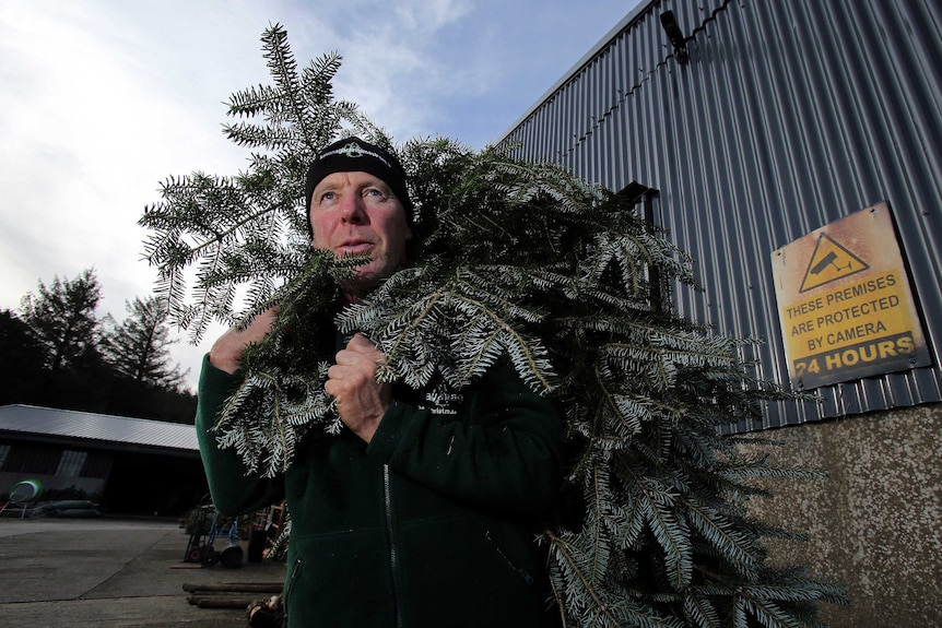 Christmas tree farmer Christy Kavanagh on his farm south of Dublin.