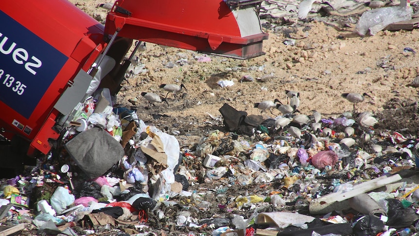 A close-up of rubbish being dumped in landfill by a red tractor in Perth.