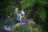 A young boy wearing a cap and singlet climbs down boulders beneath a tree fern, descending to where another older boy waits.