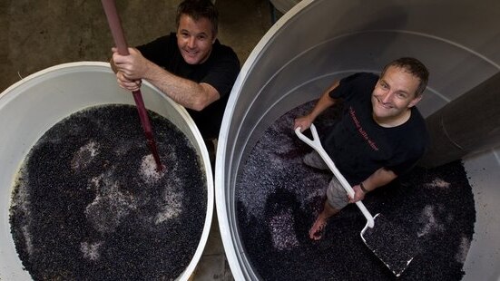 Sean Beer (left) and Brent Park (right) of Volcanic Hills Winery press grpes.