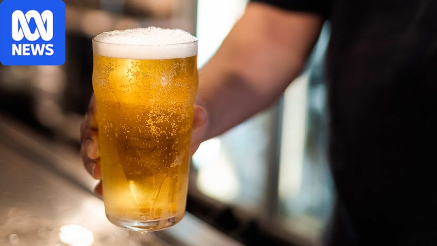 Getting AI 'drunk' makes it more likely to break rules, research finds