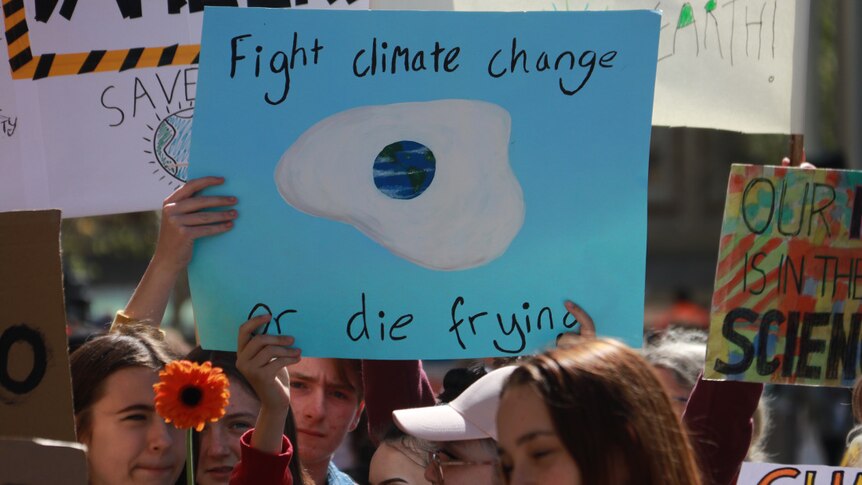 Young people hold signs, including a light blue one that reads: 'Fight climate change or die frying'.
