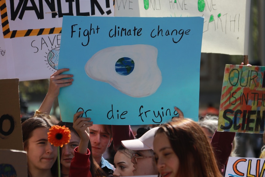 Young people hold signs, including a light blue one that reads: 'Fight climate change or die frying'.