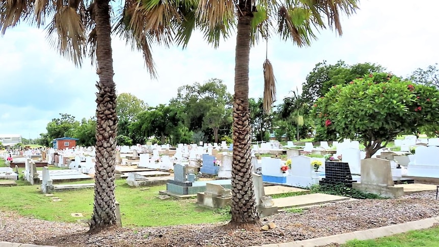 dozens of graves stand in a cemetery, some with fresh flowers on their headstones