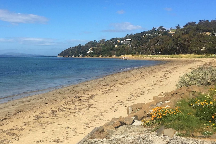 Lauderdale Beach, where a man died from a suspected puncture wound from a stingray.