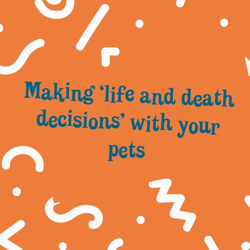 Making life and death decisions with your pets