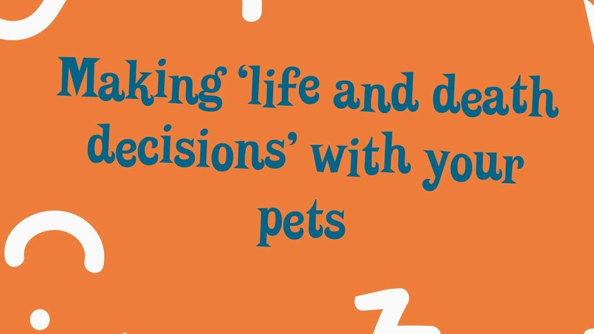 Making life and death decisions with your pets