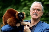 Actor John Cleese stands with his friend and co-star Colin, a red ruffed lemur