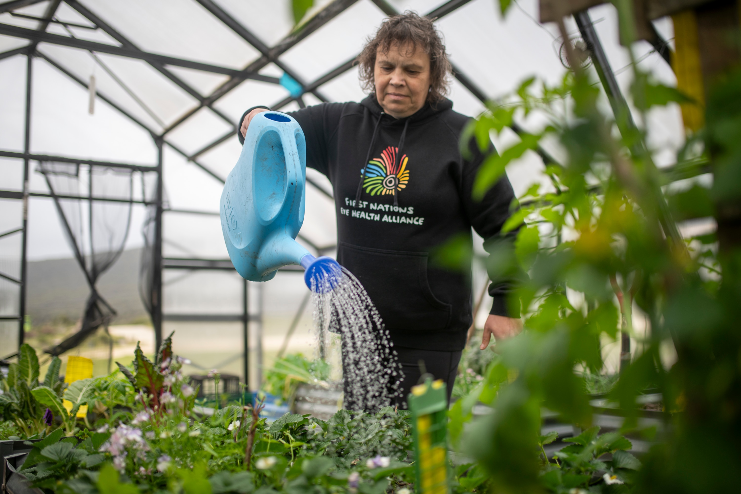 What can you eat on an island at the bottom of the world?
