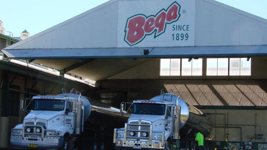 trucks unloading milk at factory