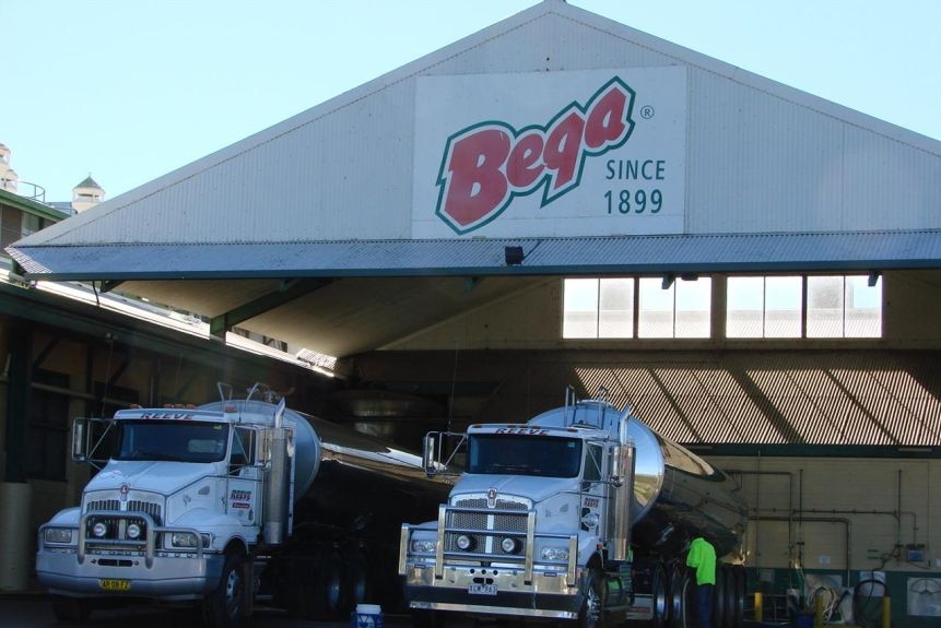 trucks unloading milk at factory