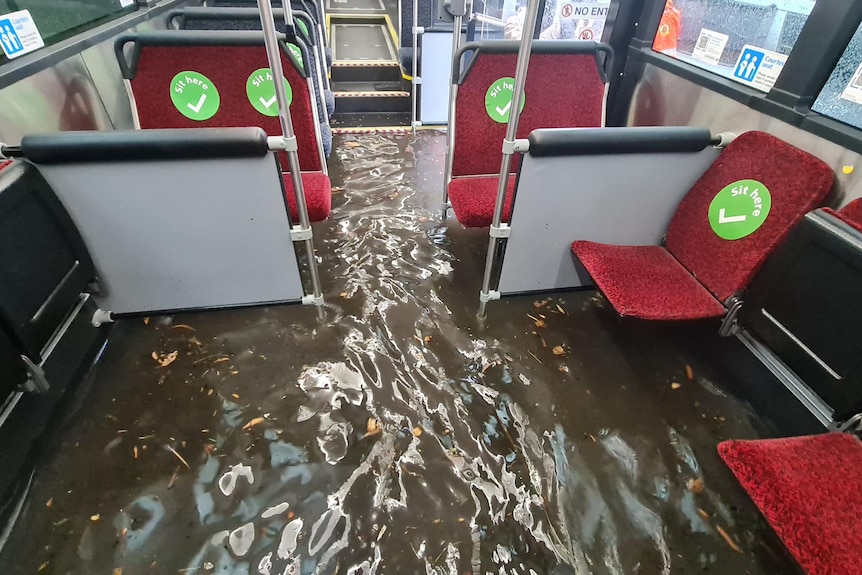 Inside flooded bus