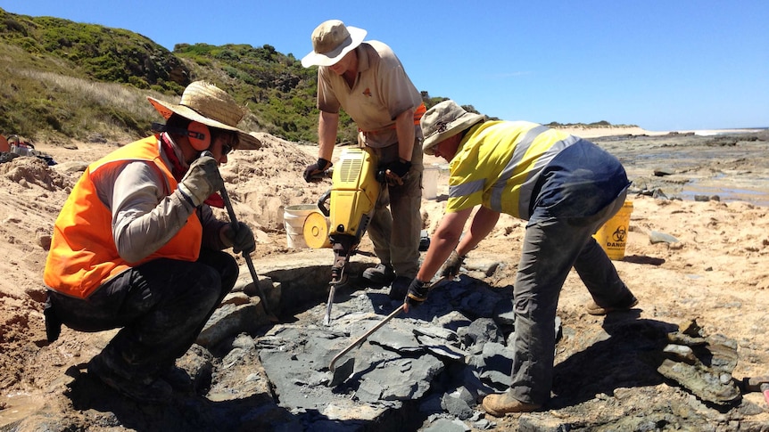 On a beach near Cape Otway, mechatronics engineering students dig through layers of sandstone