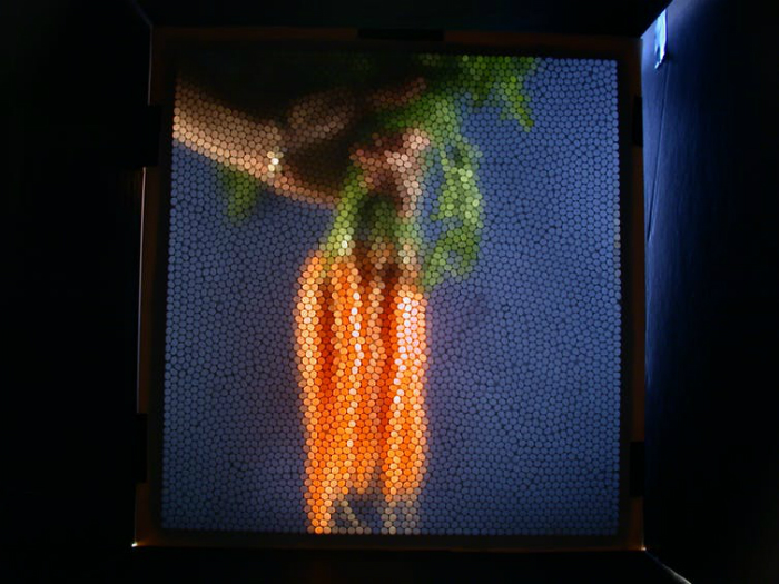 A bee-camera-eye view of carrots.