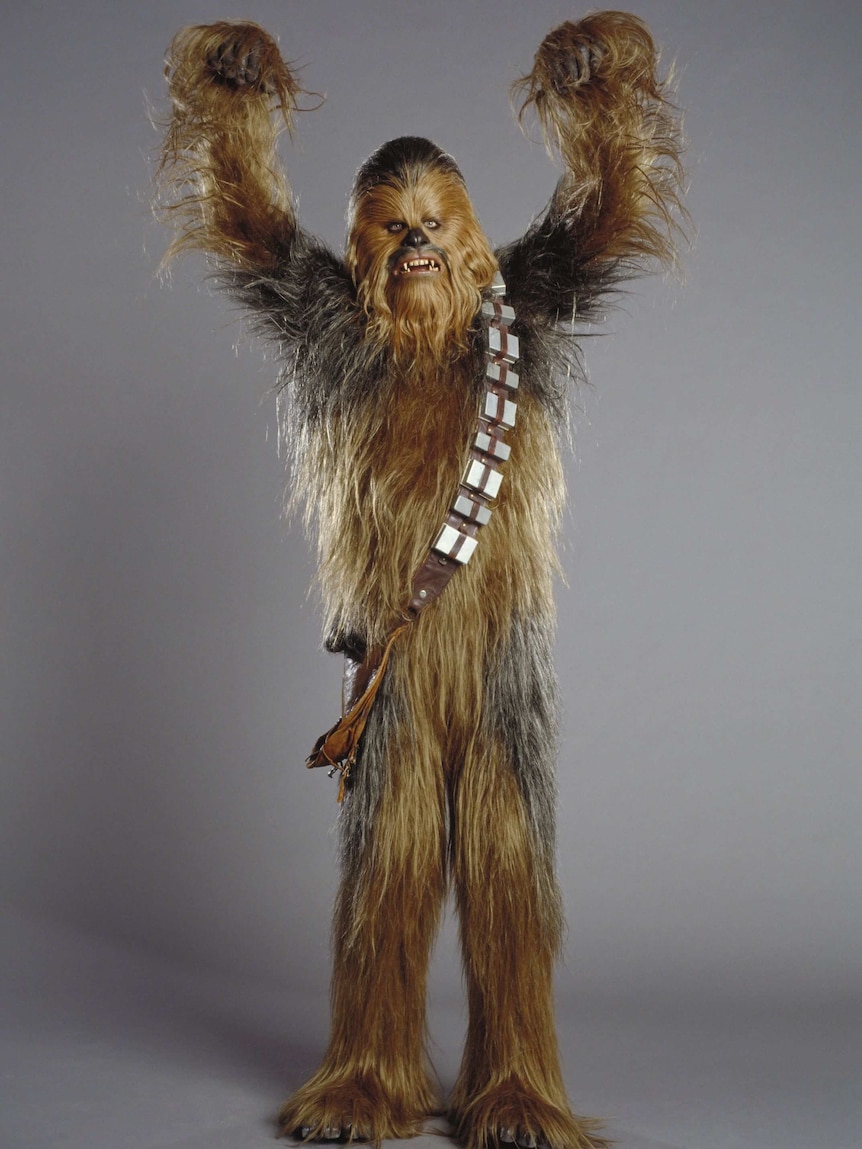Peter Mayhew in full costume as Chewbacca.