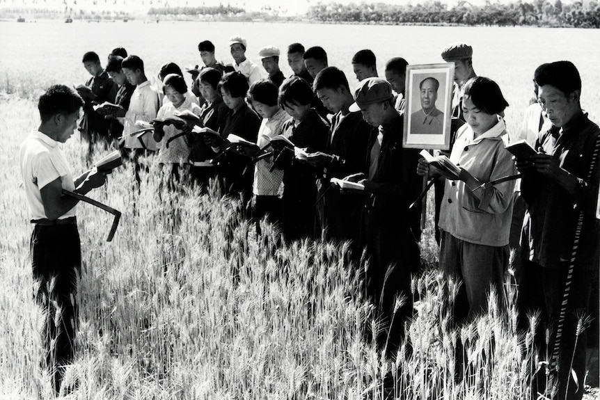 A 1960s black and white photo of young Chinese people reading in a field