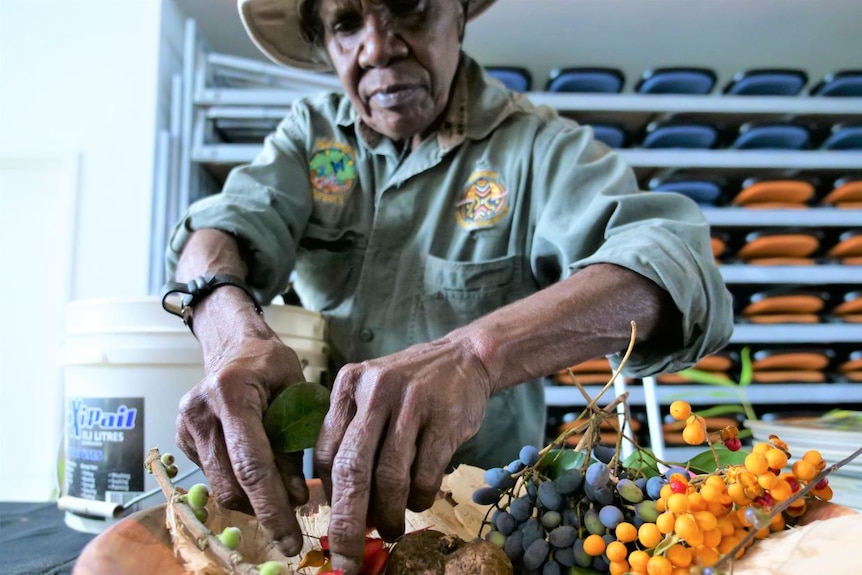 Older Aboriginal lady with wide-brimmed hat arranges native berries on a large wooden platter.