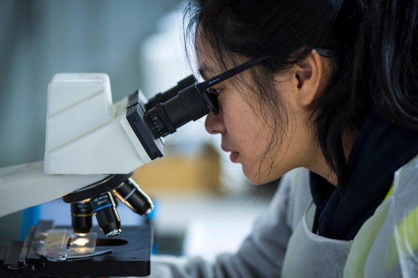 A woman with dark hair and glasses looking into a scientific microscope.