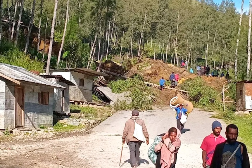 A group of people walk on a mountain of dirt with fallen trees.