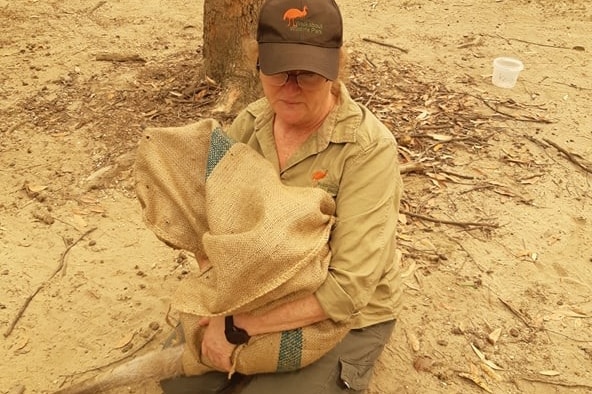 Tassin Barnard captures a kangaroo in a hessian bag ready to be moved to another sanctuary