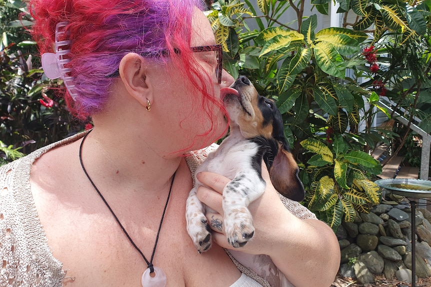 puppy licking lady with pink hair