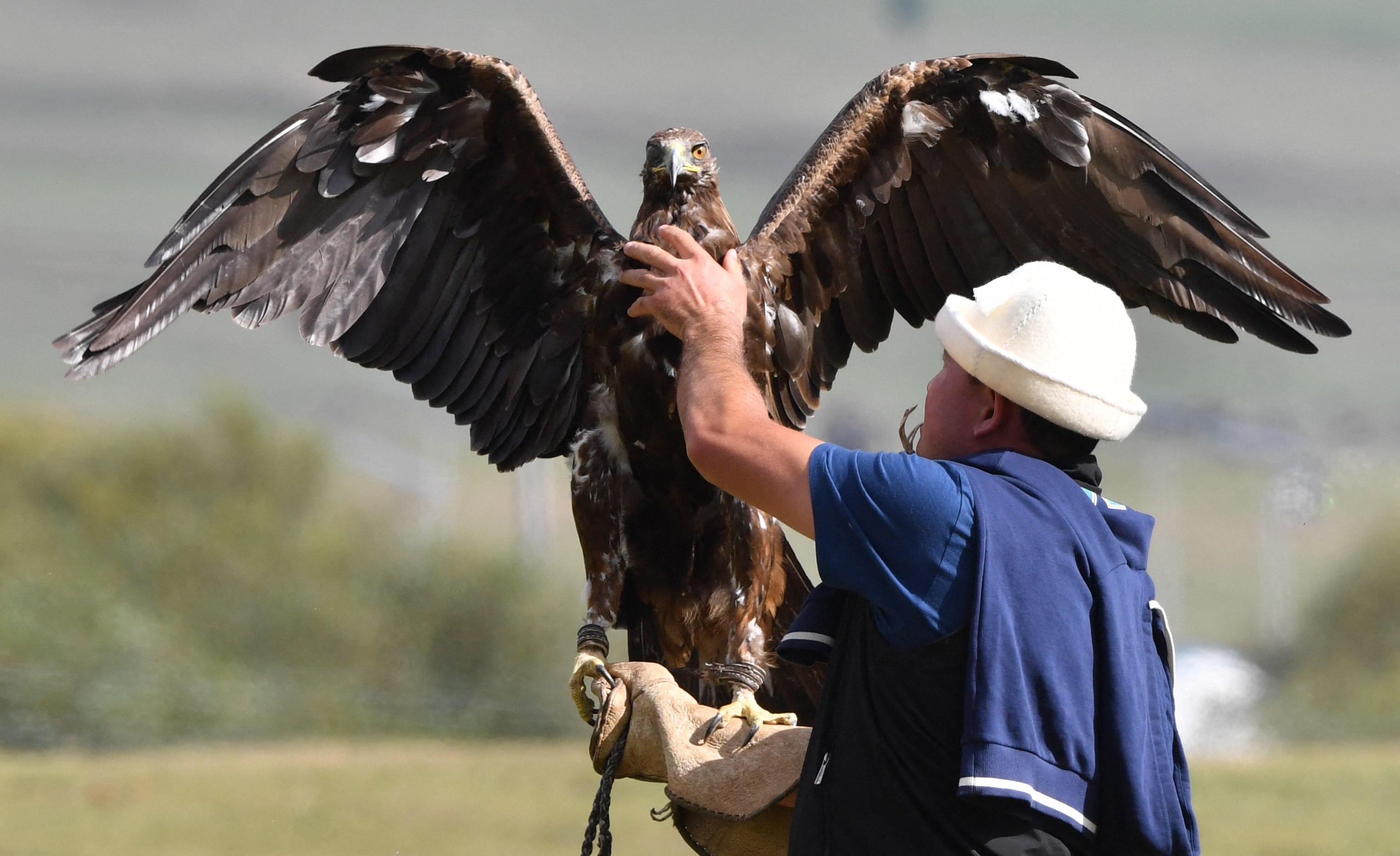 What are the World Nomad Games and why are Australians competing?